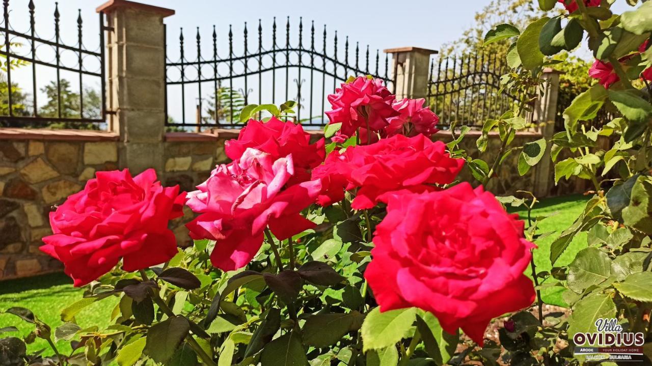 Arode Villa Ovidius Balchik Esterno foto